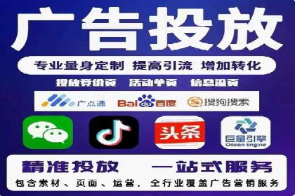专业SEM运营托管服务案例分析
